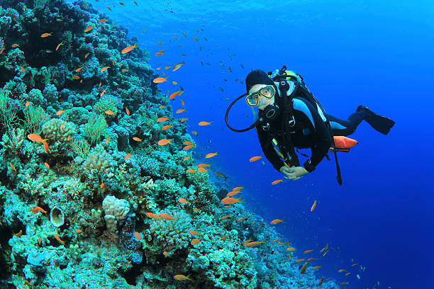 Scuba diving rio