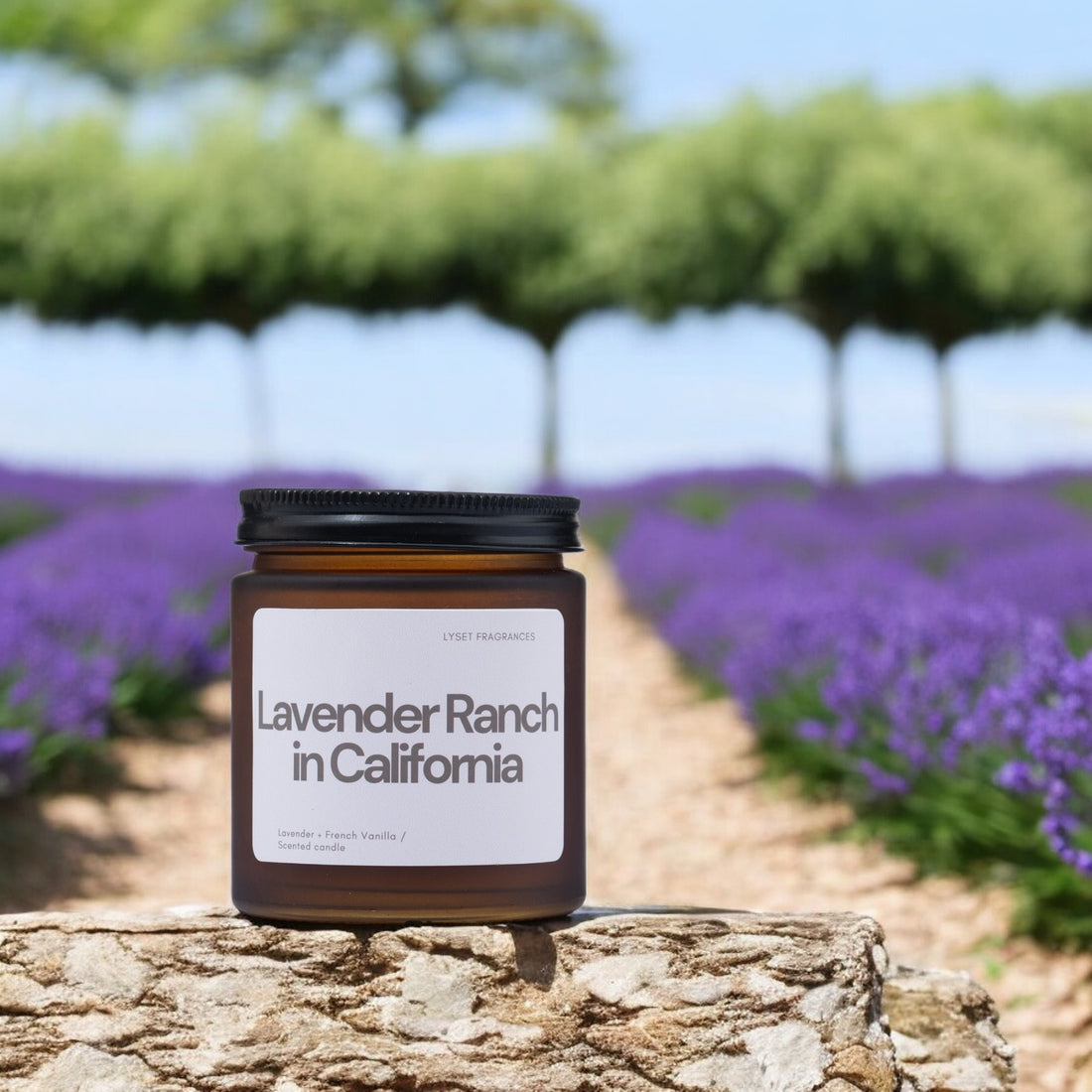 Lavender Ranch in California